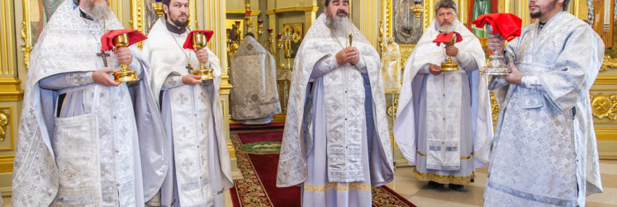 Встреча мощей святой Матроны Московской!